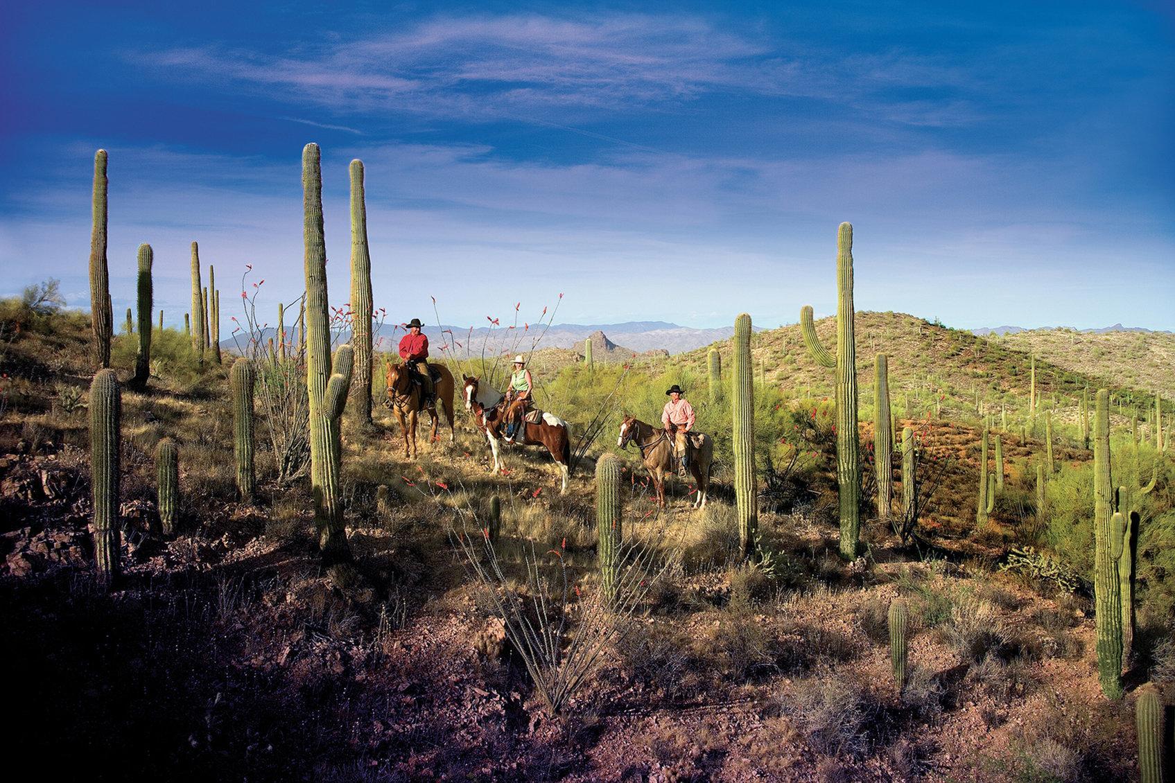 Rancho De Los Caballeros Wickenburg Exterior foto